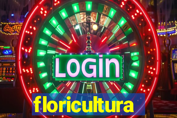 floricultura juazeiro bahia
